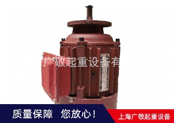 上海总厂电机  6级电机 8级电机厂家批发